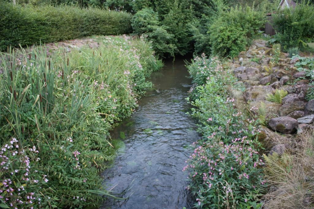 Gite Du Moulin Uhrwiller 外观 照片